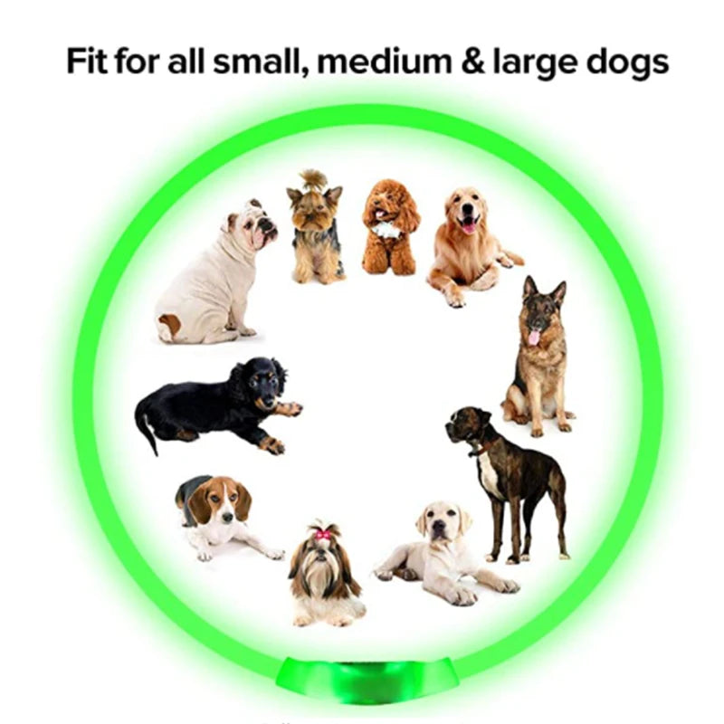 Luminous Dog Collar Light Charge Cat Necklace, Led Fashion Flashing DIY Glowing Safety Collar for Dogs Nighttime