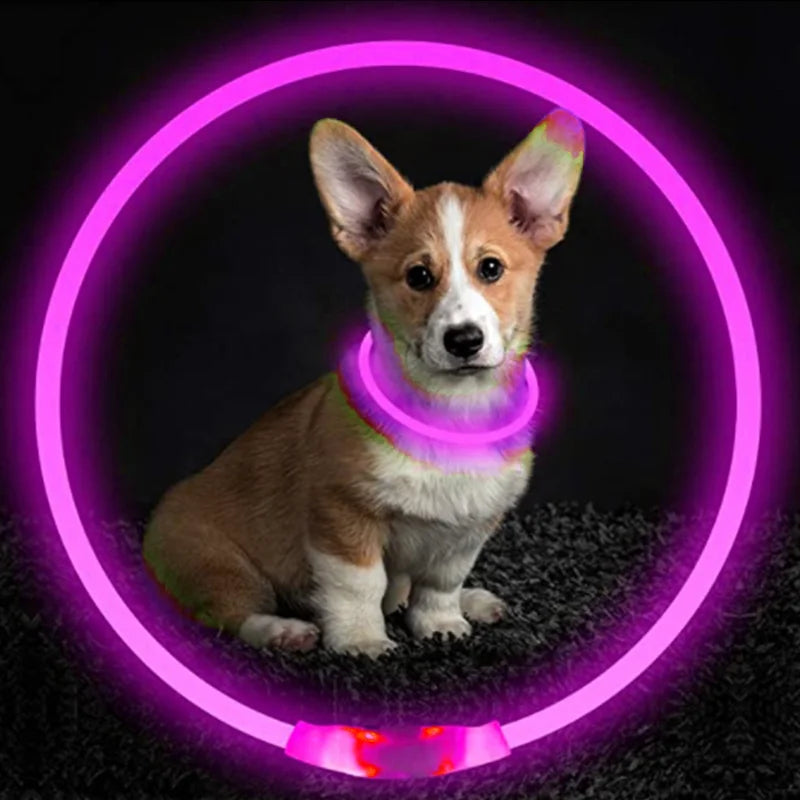 Luminous Dog Collar Light Charge Cat Necklace, Led Fashion Flashing DIY Glowing Safety Collar for Dogs Nighttime