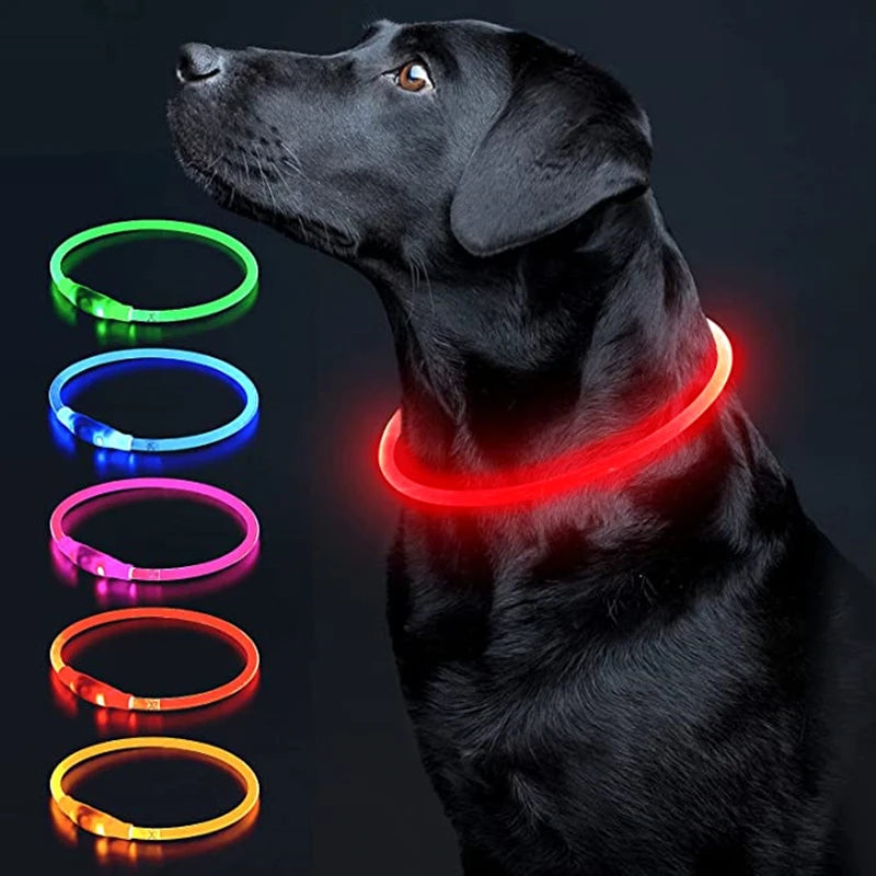 Luminous Dog Collar Light Charge Cat Necklace, Led Fashion Flashing DIY Glowing Safety Collar for Dogs Nighttime