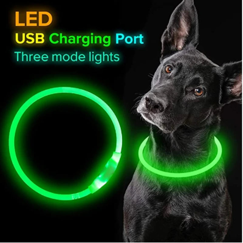 Luminous Dog Collar Light Charge Cat Necklace, Led Fashion Flashing DIY Glowing Safety Collar for Dogs Nighttime
