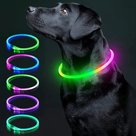 Luminous Dog Collar Light Charge Cat Necklace, Led Fashion Flashing DIY Glowing Safety Collar for Dogs Nighttime